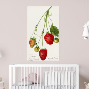 aardbeienillustratie poster