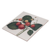  aardbeienillustratie tegeltje (Zijkant)