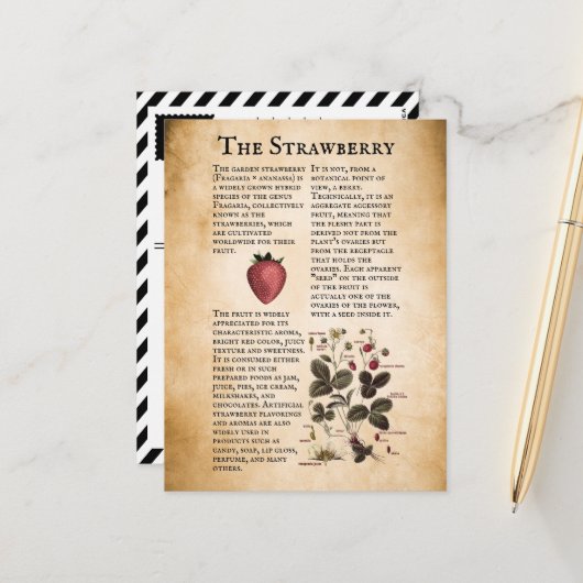  aardbeieninformatie briefkaart (Voorkant / Achterkant in situ)