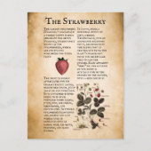  aardbeieninformatie briefkaart (Voorkant)
