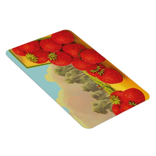 aardbeienkrat Kunstnetten Magneet (Rechterzijde)