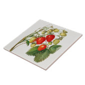  aardbeientak tegeltje (Zijkant)