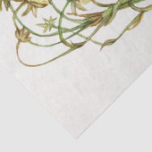  aardbeientak tissuepapier (Detail)