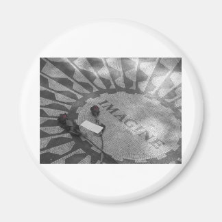 aardbeivelden magneet