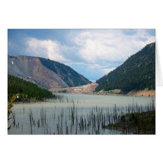 Aardbevingsmeer van Cynthia Wenslow