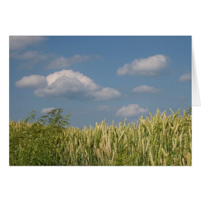 Aarde en hemel (Voorkant Horizontaal)