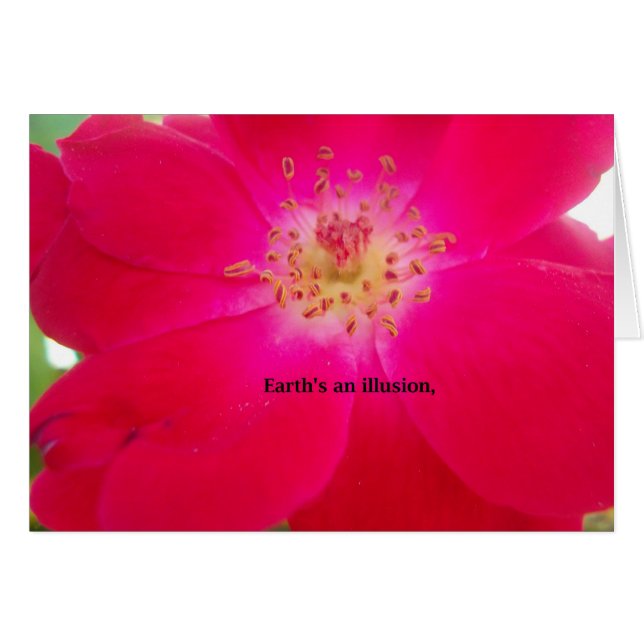 Aarde is een illusie (Voorkant Horizontaal)