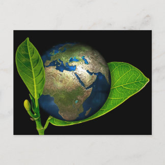 AARDE IS GEBOREN BRIEFKAART