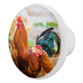 aardewerk keramische knoppen (Rechts)