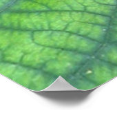 aardewerk poster (Hoek)