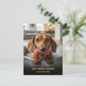 Aardige Dachshund Beterschap Ansichtkaart  Briefkaart (Staand voorkant)
