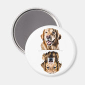 Aardige Golden Retriever Afwasmachine Magneet (Voorkant / Achterkant)