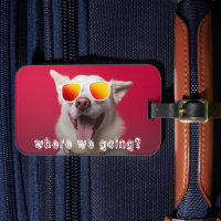 Aardige Hond Foto