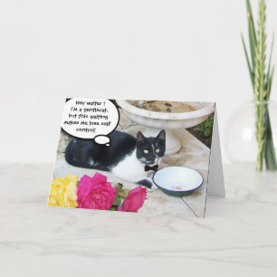AARDIGE KAT IN DE RESTAURANT Gefeliciteerd met je Kaart