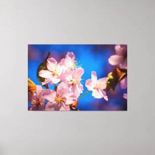Aardige Kersenbloesems Canvas Afdruk