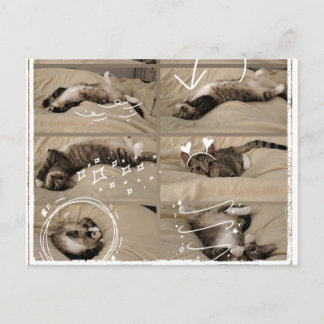 Aardige Kitten Ansichtkaart Briefkaart