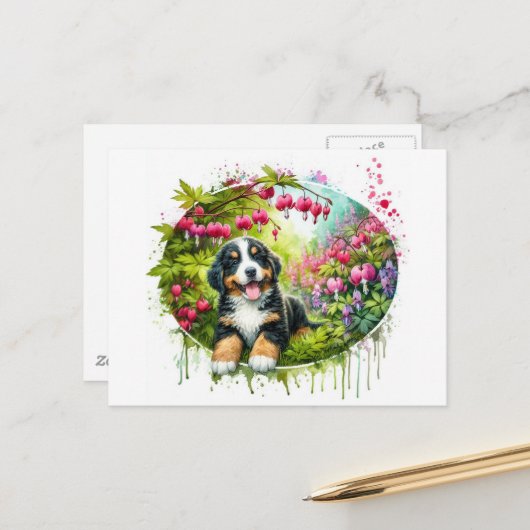Aardige lente Berner Sennenhond Briefkaart (Voorkant / Achterkant in situ)