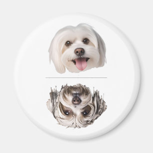 Aardige Maltezer Hond Afwasmachine Schoon/Vuile Ma Magneet