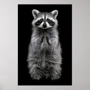 Aardige Poster van Zwarte en Witte Wasbeer Staand