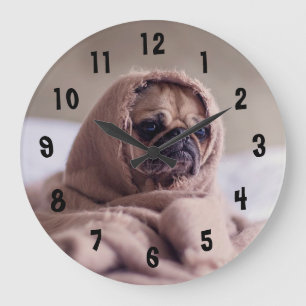 Aardige Pug Grote Klok