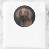 Aardige Rhodesian Ridgeback Puppy Portret Hond Ph Ronde Sticker (Tas)