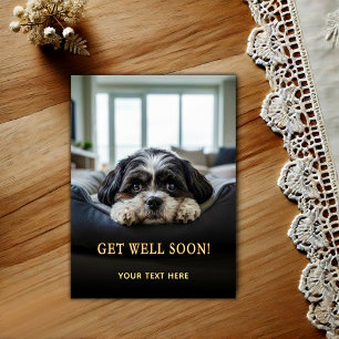 Aardige Shih Tzu Beterschap Ansichtkaart Briefkaart