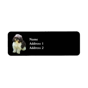 Aardige Shih Tzu Puppy Etiket
