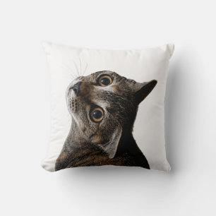 Aardige Tabby Kat Close-up Foto Kussen