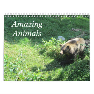 Aardige Wilde Dieren in de Natuur Kalender