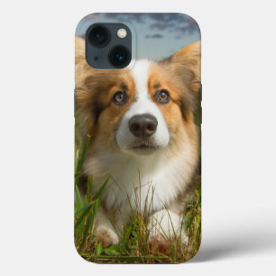 Aardigste baby dieren   Corgi in bewolkte tuin iPhone 13 Hoesje