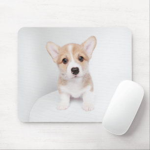 Aardigste baby dieren   Kleine Corgi Muismat