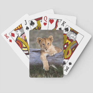 Aardigste baby dieren Mooie leeuwenwelp Pokerkaarten