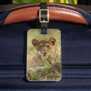 Aardigste Babydieren   Cute Baby Leeuwenwelp Bagagelabel