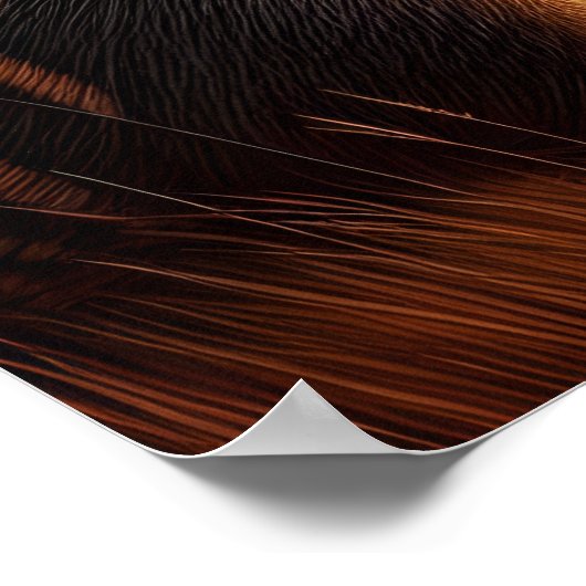 Aardvark in zonovergoten veld poster (Hoek)