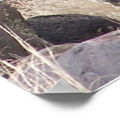 Aaron paintballing poster (Hoek)