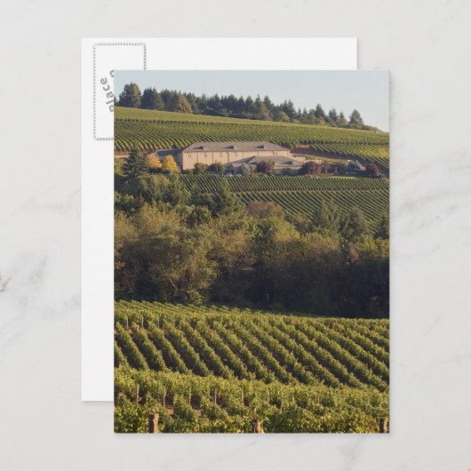 Aartstop tan bouwt op heuvel briefkaart (Voorkant / Achterkant)