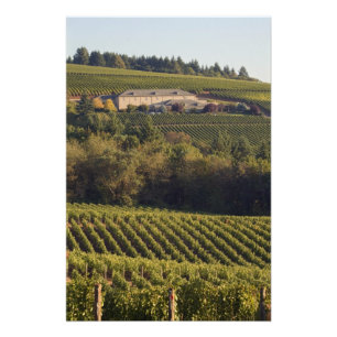 Aartstop tan bouwt op heuvel foto afdruk