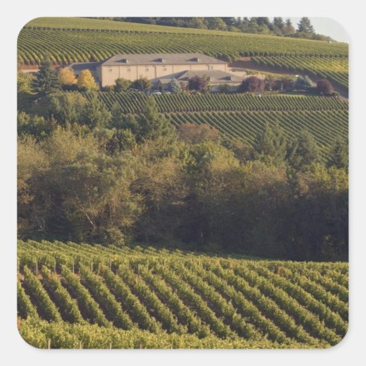 Aartstop tan bouwt op heuvel vierkante sticker (Voorkant)