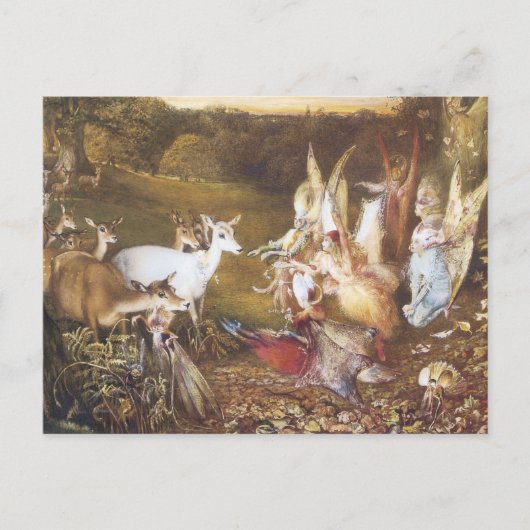  aas Het betoverde bos Briefkaart (Voorkant)