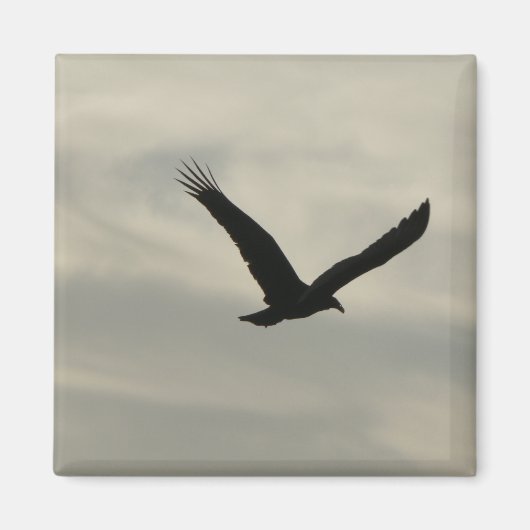 Aasgier. Magneet (Voorkant)