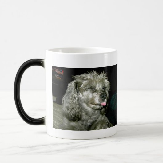 AAStamp1, John Doe Roescher Regels Magische Mok (Links)