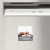 Ab Wiel Magneet (Insitu (Vaatwasser))