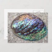 Abalone Briefkaart (Voorkant / Achterkant)
