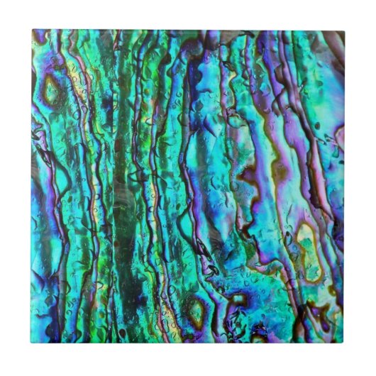 Abalone keramische tegel tegeltje (Voorkant)