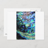 Abalone paua shell briefkaart (Voorkant / Achterkant)