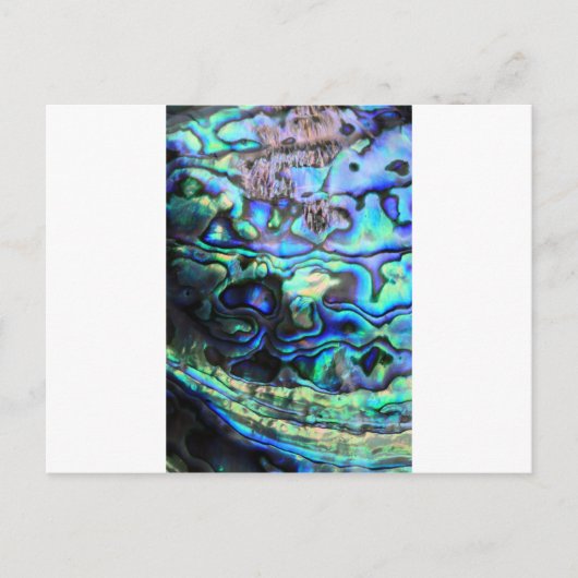 Abalone paua shell briefkaart (Voorkant)