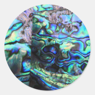 Abalone paua shell detail ronde sticker