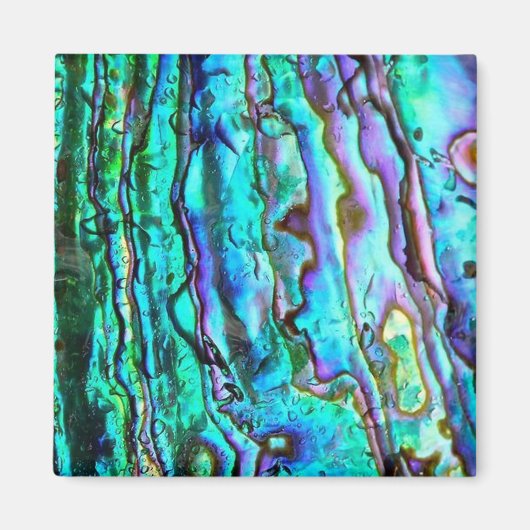 Abalone paua shell image carré aimant (Devant)