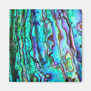 Abalone pauashell afbeelding vierkante magneet