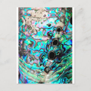 Abalone seashell natuur detail briefkaart